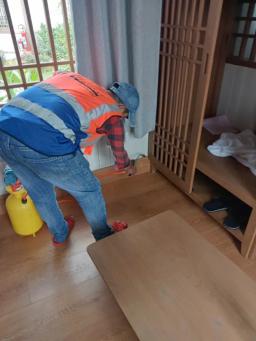 Goodbye Termites and Pests: Solutions to Eliminate Threats to Your Living Environment - 1