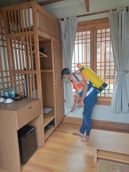 Goodbye Termites and Pests: Solutions to Eliminate Threats to Your Living Environment - 2