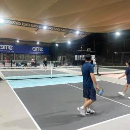 From basics to pro: Your Pickleball journey with Alex trainer - 0