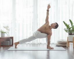 Basic to Advanced Hatha Yoga Class - 0