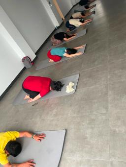 Therapeutic Yoga Class for Lower Back, Neck, and Shoulder Pain Relief - 4