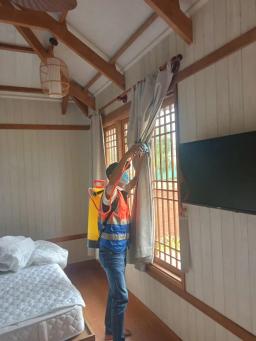 Goodbye Termites and Pests: Solutions to Eliminate Threats to Your Living Environment - 3