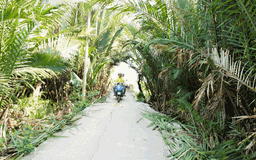 Vespa Adventure Tours: Journey to Vespa Saigon through a classic prism - 3