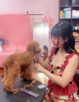 This is a special transformation space for pets, Pet Idol. - 1