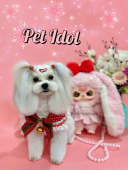 This is a special transformation space for pets, Pet Idol. - 2