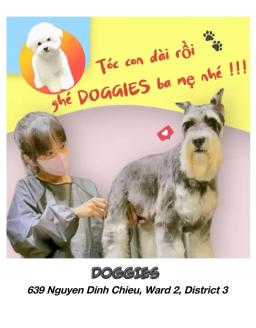 Comprehensive pet care, where your beloved pet shines - 1