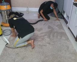 BeeClean - Elevate Your Living Space, Shine Every Corner - 3