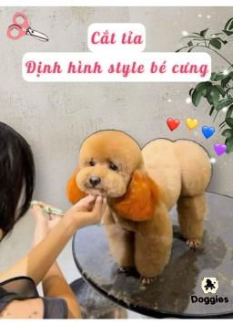 Comprehensive pet care, where your beloved pet shines - 2